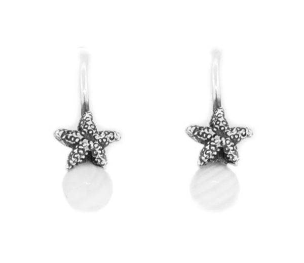 Aretes Estrellita Marina