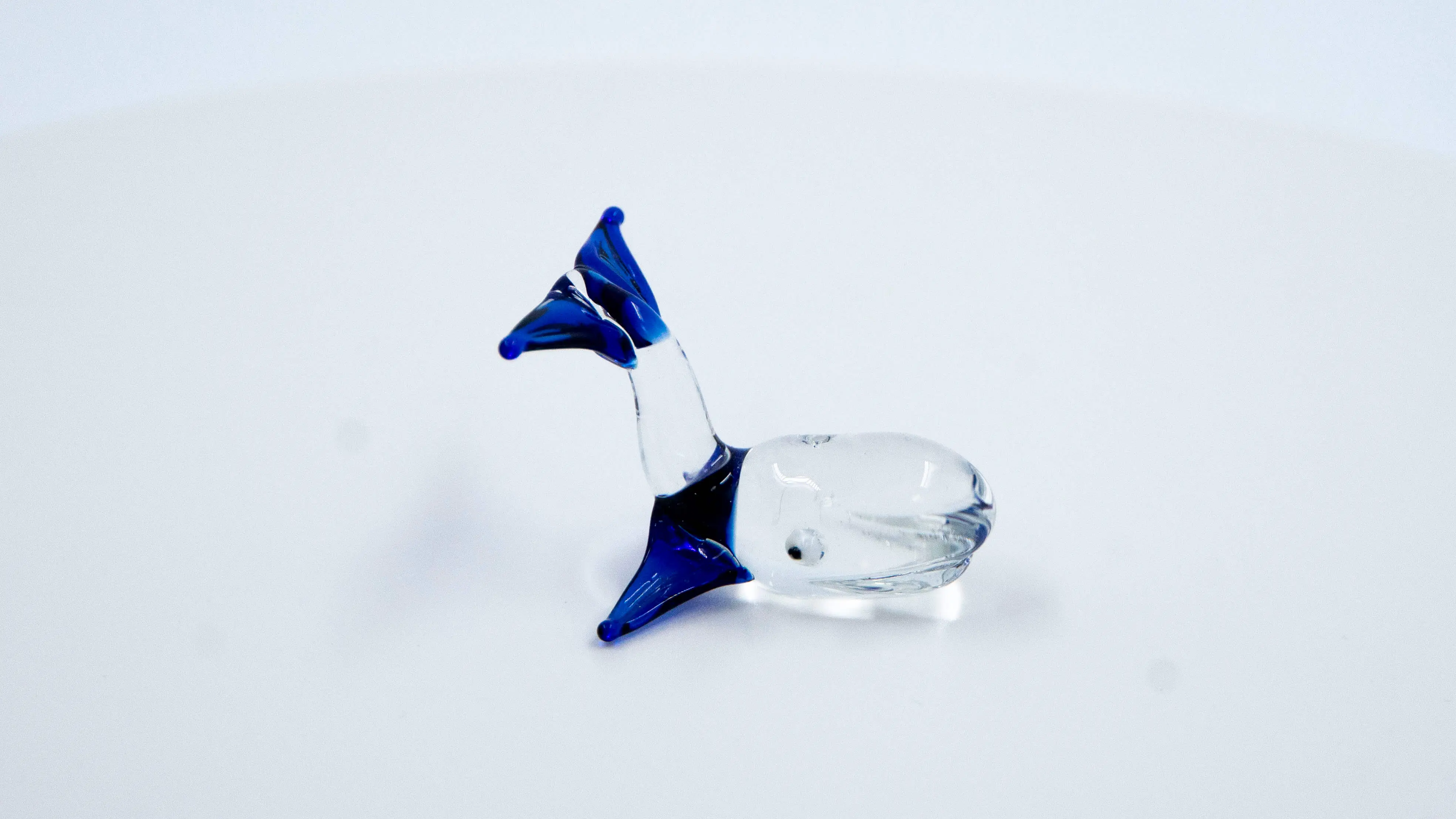 Ballenita azul - Image 2