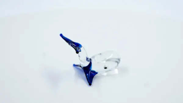 Ballenita azul - Image 3