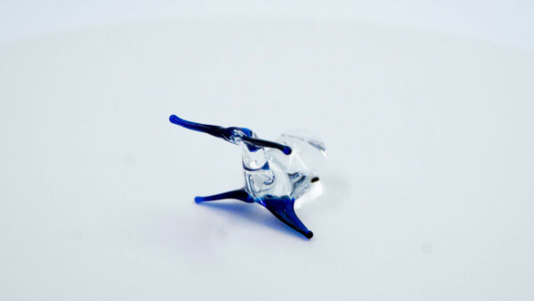 Ballenita azul - Image 4