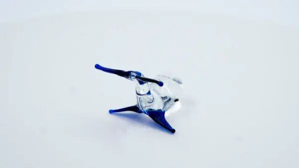 Ballenita azul - Image 4