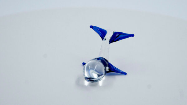 Ballenita azul - Image 5