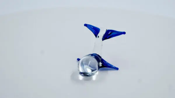 Ballenita azul - Image 5