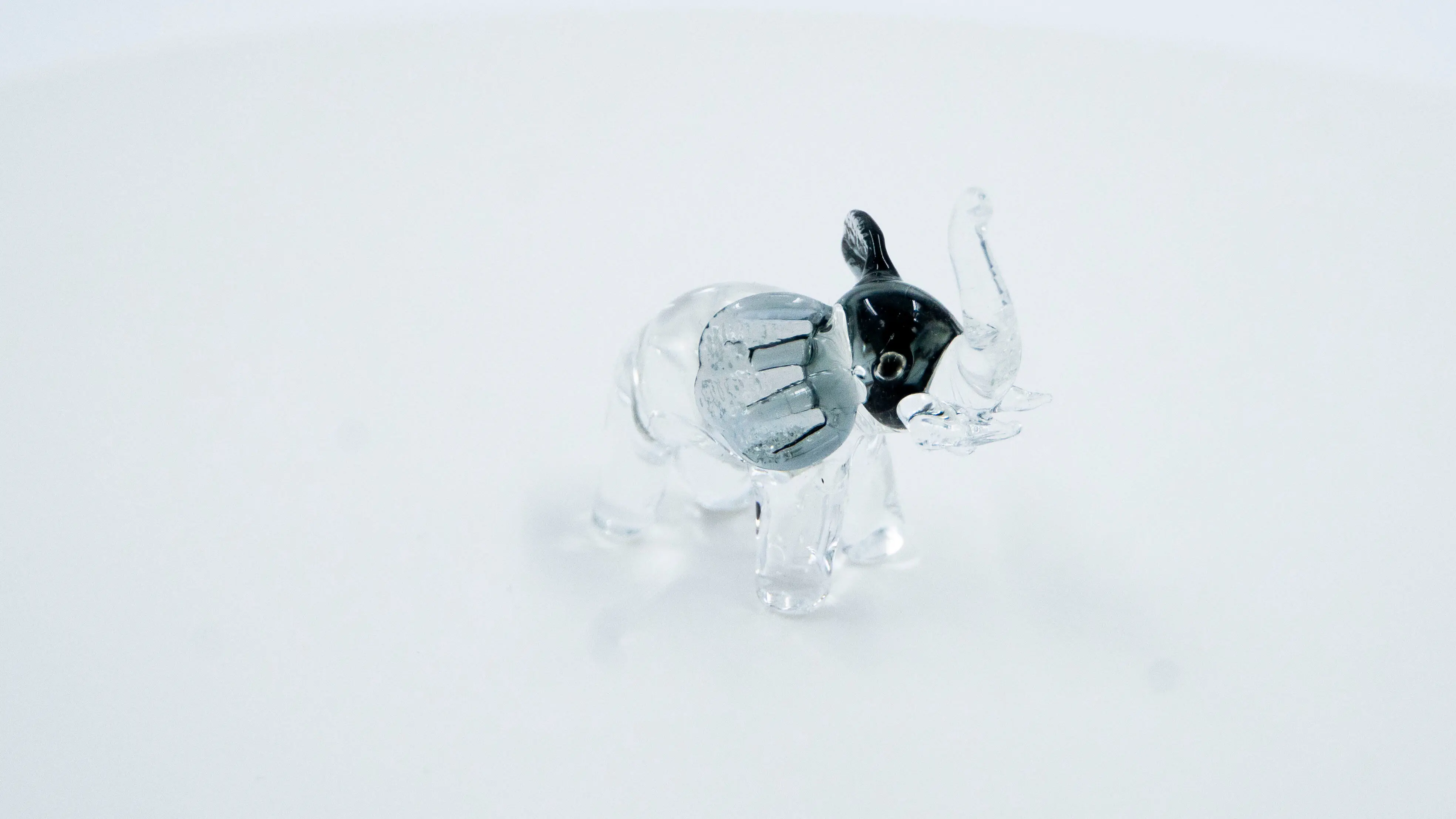 Elefante negro - Image 4