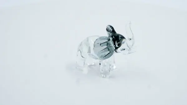 Elefante negro
