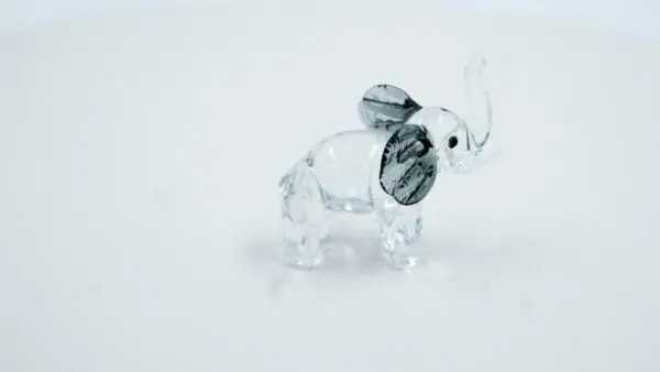 Elefante negro - Image 2