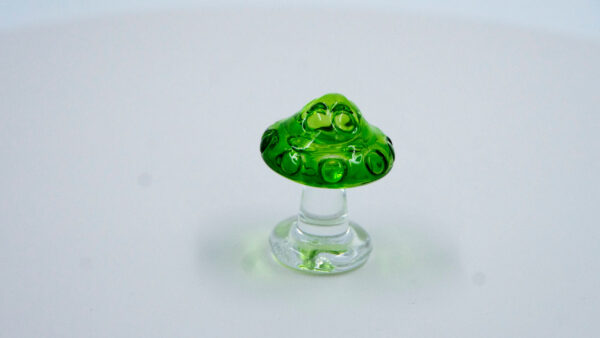 Hongo verde - Image 4