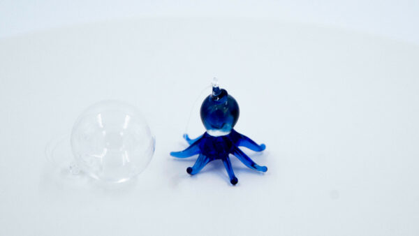 Pulpo azul - Image 4