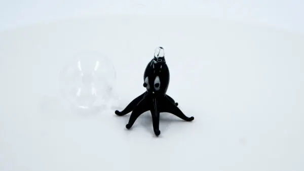 Pulpo negro
