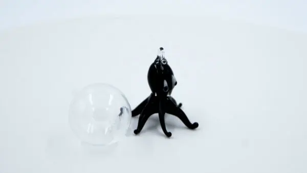 Pulpo negro - Image 3