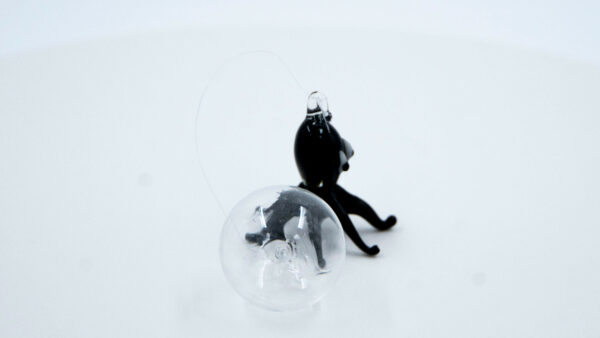 Pulpo negro - Image 4