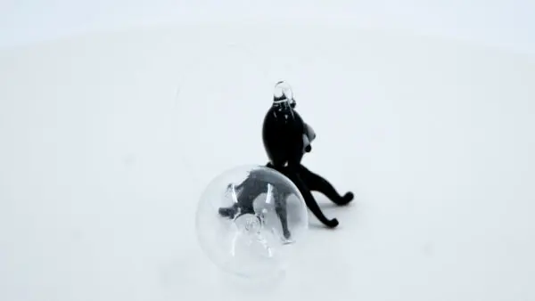 Pulpo negro - Image 4