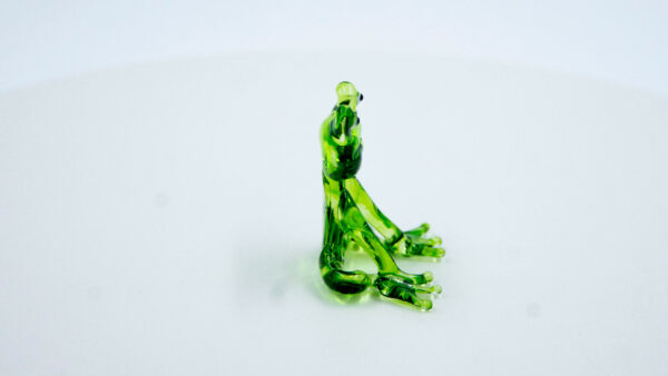 Ranita - Image 3