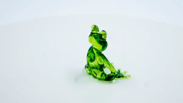 Ranita - Image 4