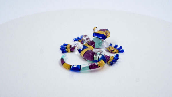 Salamandra 4 colores - Image 3