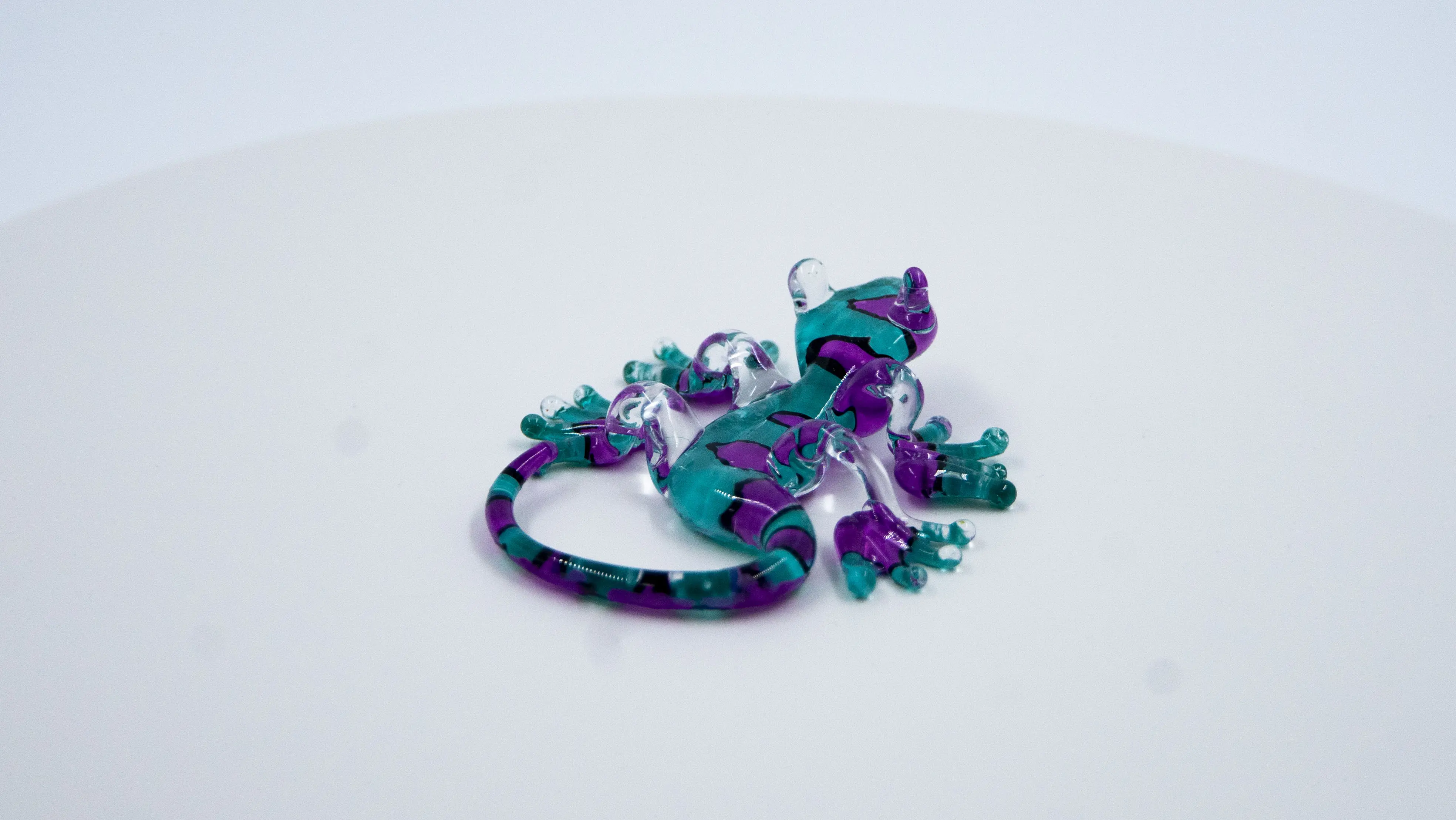 Salamandra aqua morado - Image 2