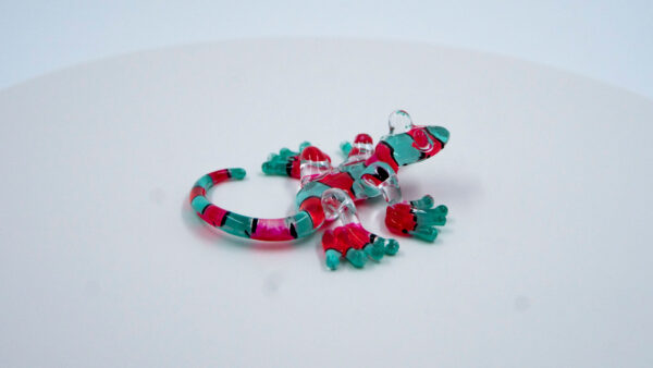 Salamandra azul rojo - Image 2