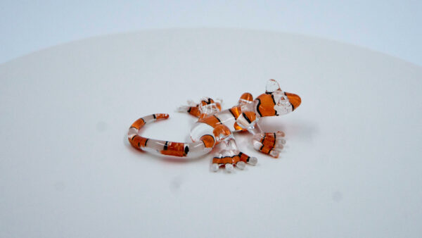Salamandra naranja