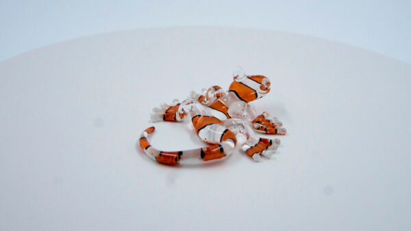Salamandra naranja - Image 2