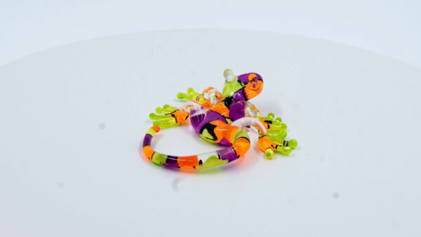 Salamandra naranja morado