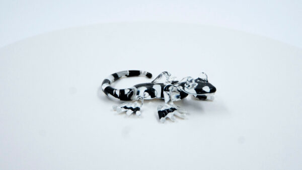 Salamandra negra