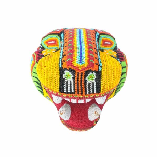 Cabeza de jaguar