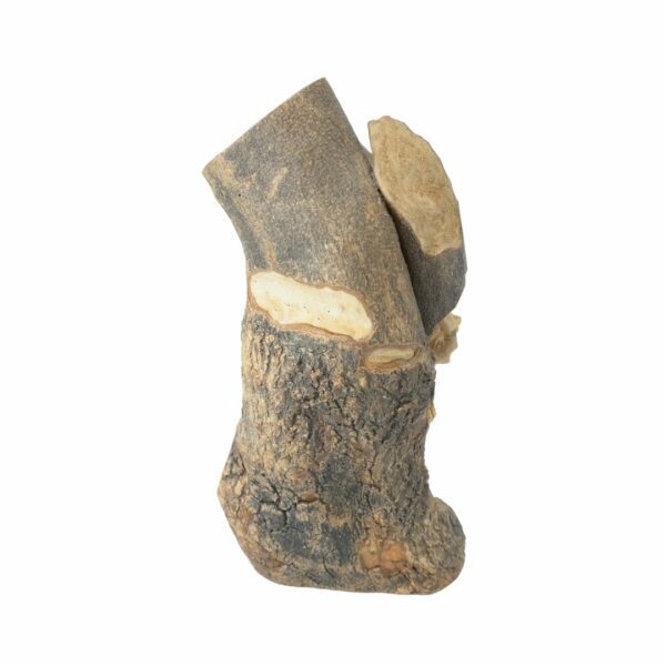 Cristo en Madera - Image 4
